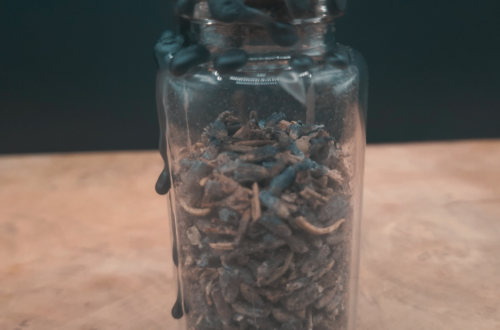 Guida alle Spell Jar